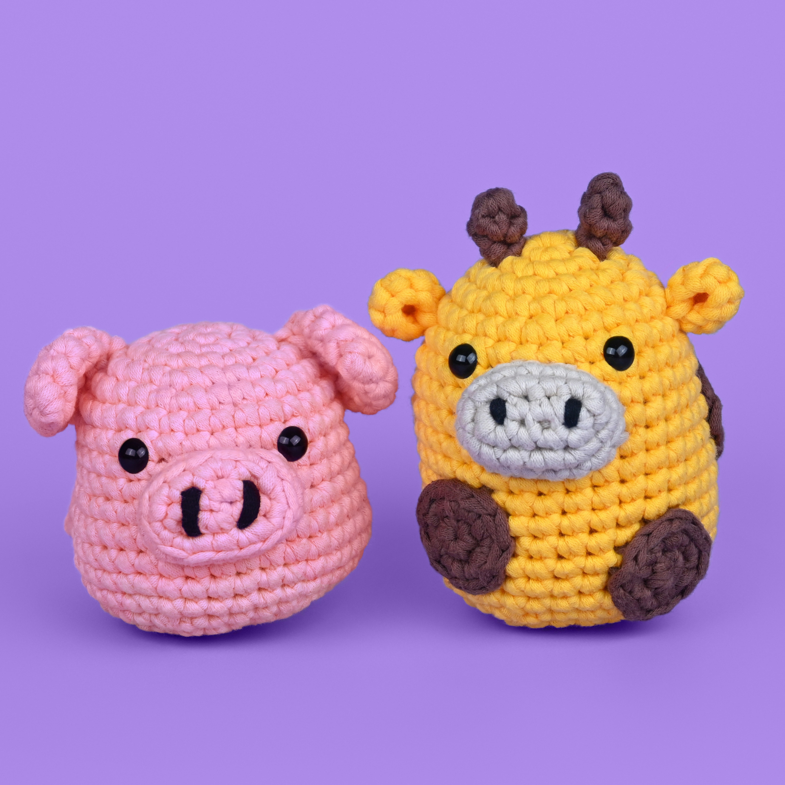 Barry The Pig