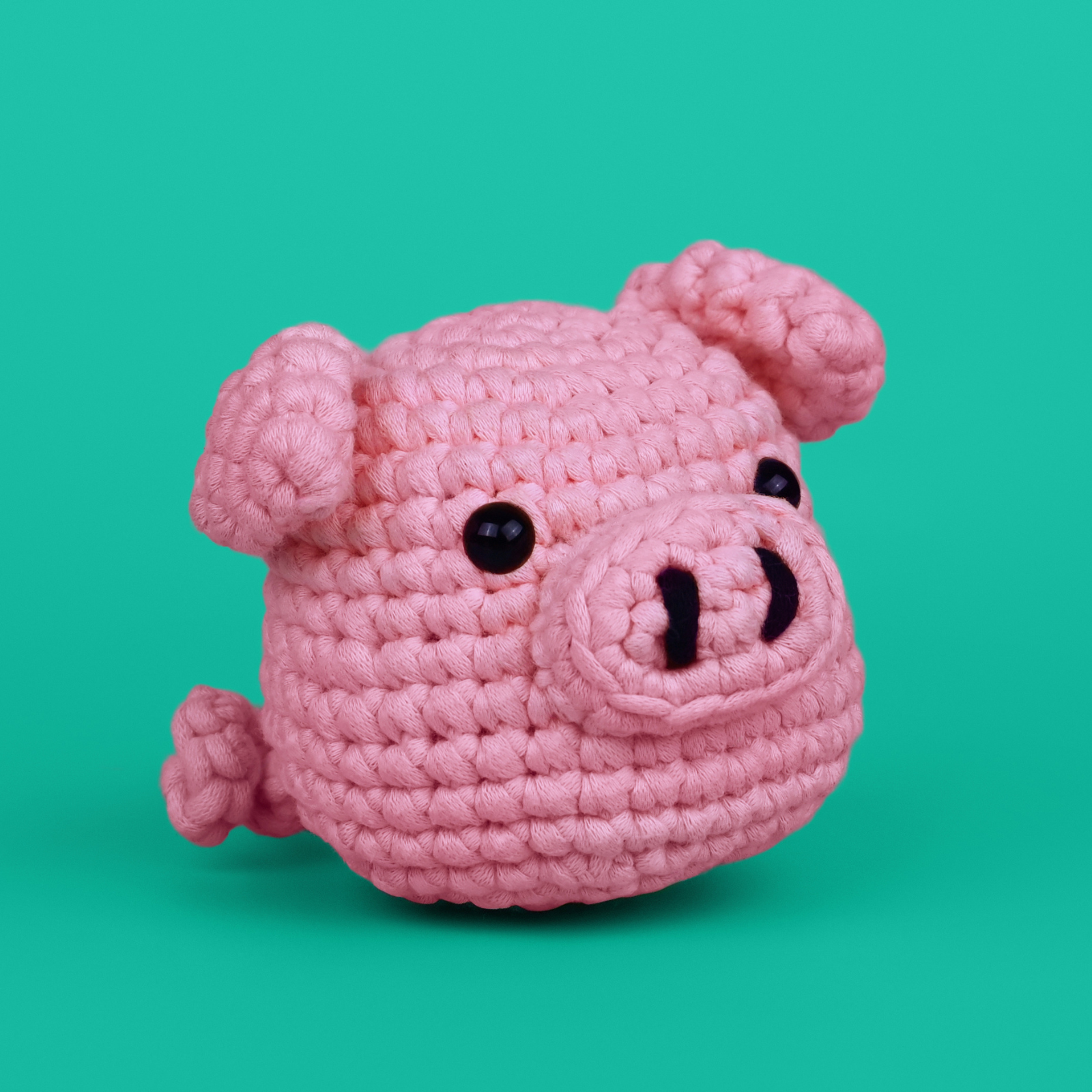 Barry The Pig