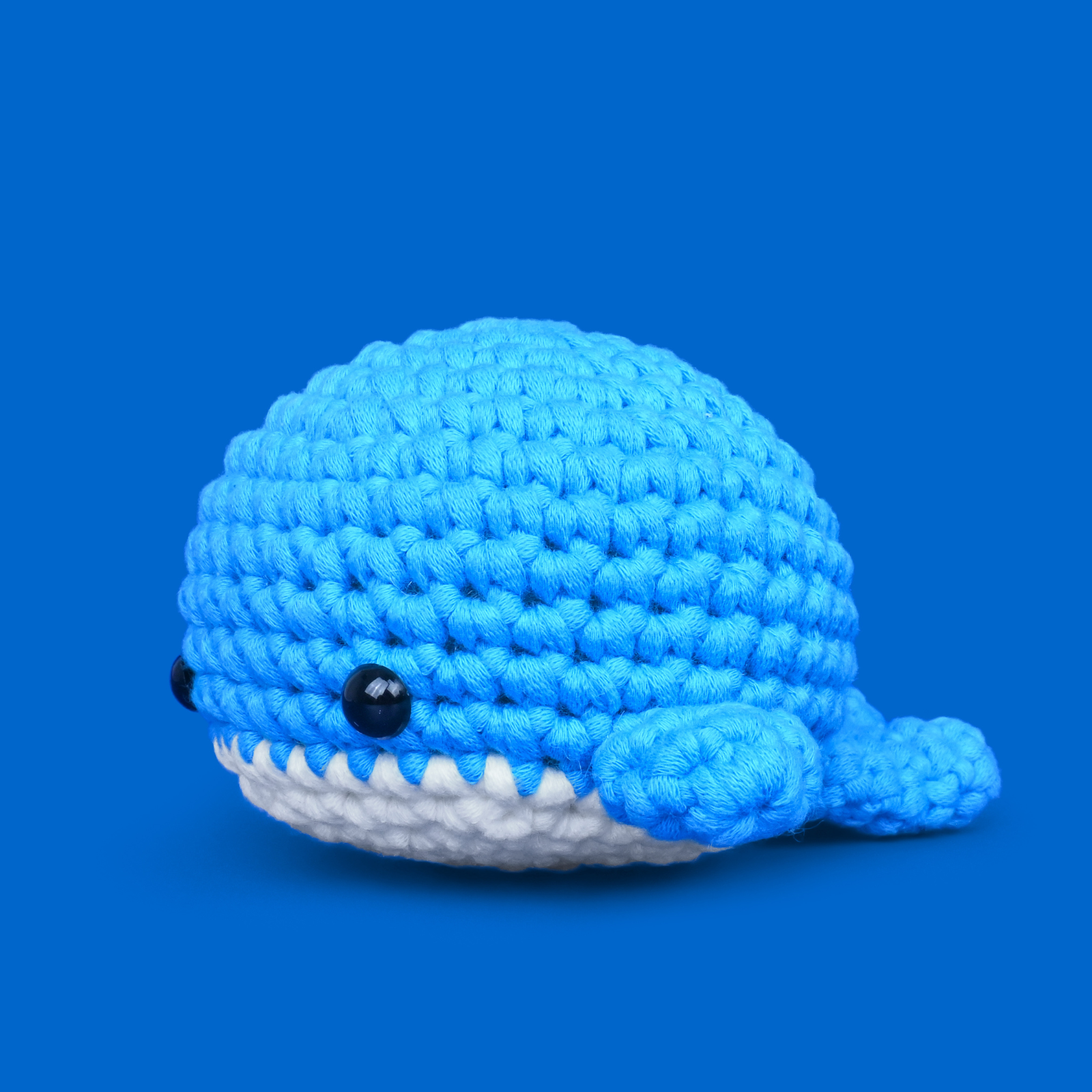 Nala The Whale